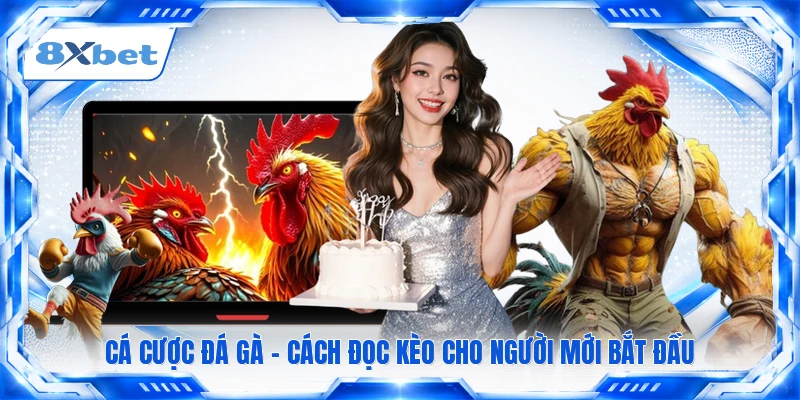Cá Cược Đá Gà - Cách Đọc Kèo Cho Người Mới Bắt Đầu