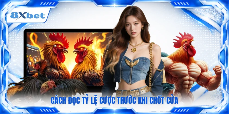 Cách đọc tỷ lệ cược trước khi chốt cửa