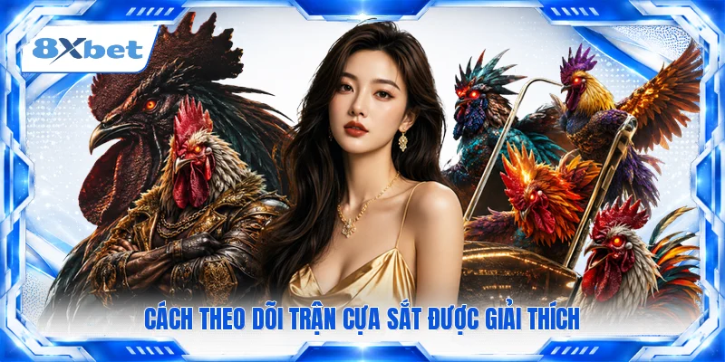 Cách theo dõi trận cựa sắt được giải thích