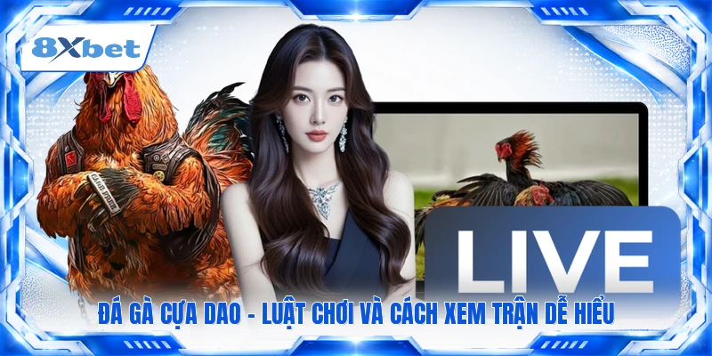 Đá Gà Cựa Dao - Luật Chơi Và Cách Xem Trận Dễ Hiểu