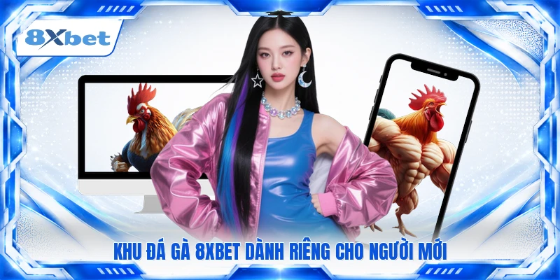 Khu đá gà 8XBET dành riêng cho người mới