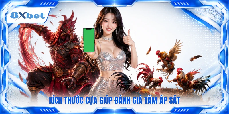 Kích thước cựa giúp đánh giá tầm áp sát