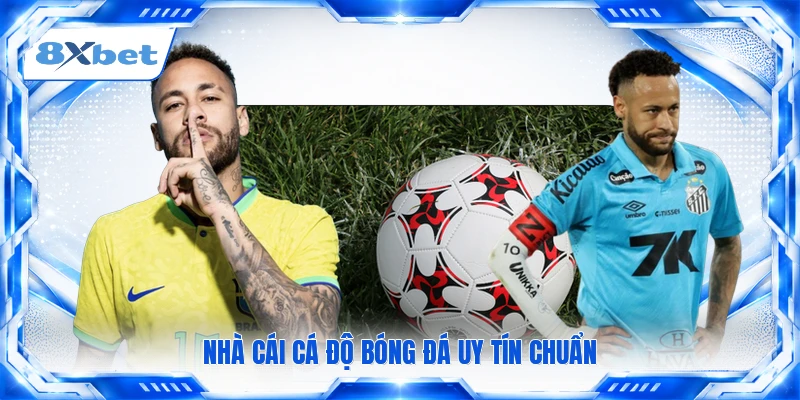 Nhà cái cá độ bóng đá uy tín chuẩn