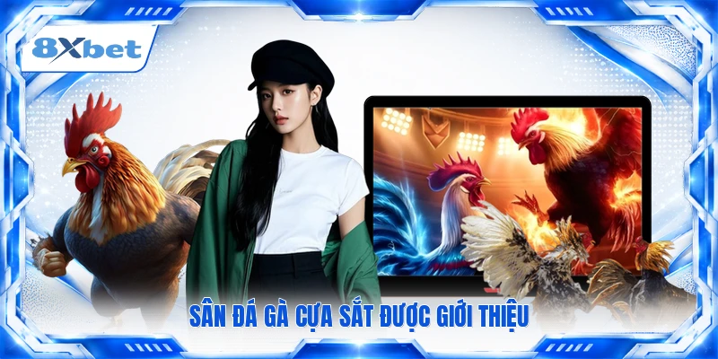 Sân đá gà cựa sắt được giới thiệu